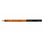 Load image into Gallery viewer, "Ente histórico 1976" pencil