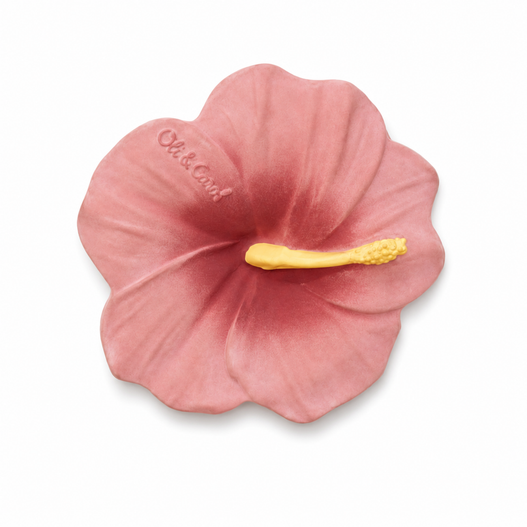 Mordedor Hibiscus