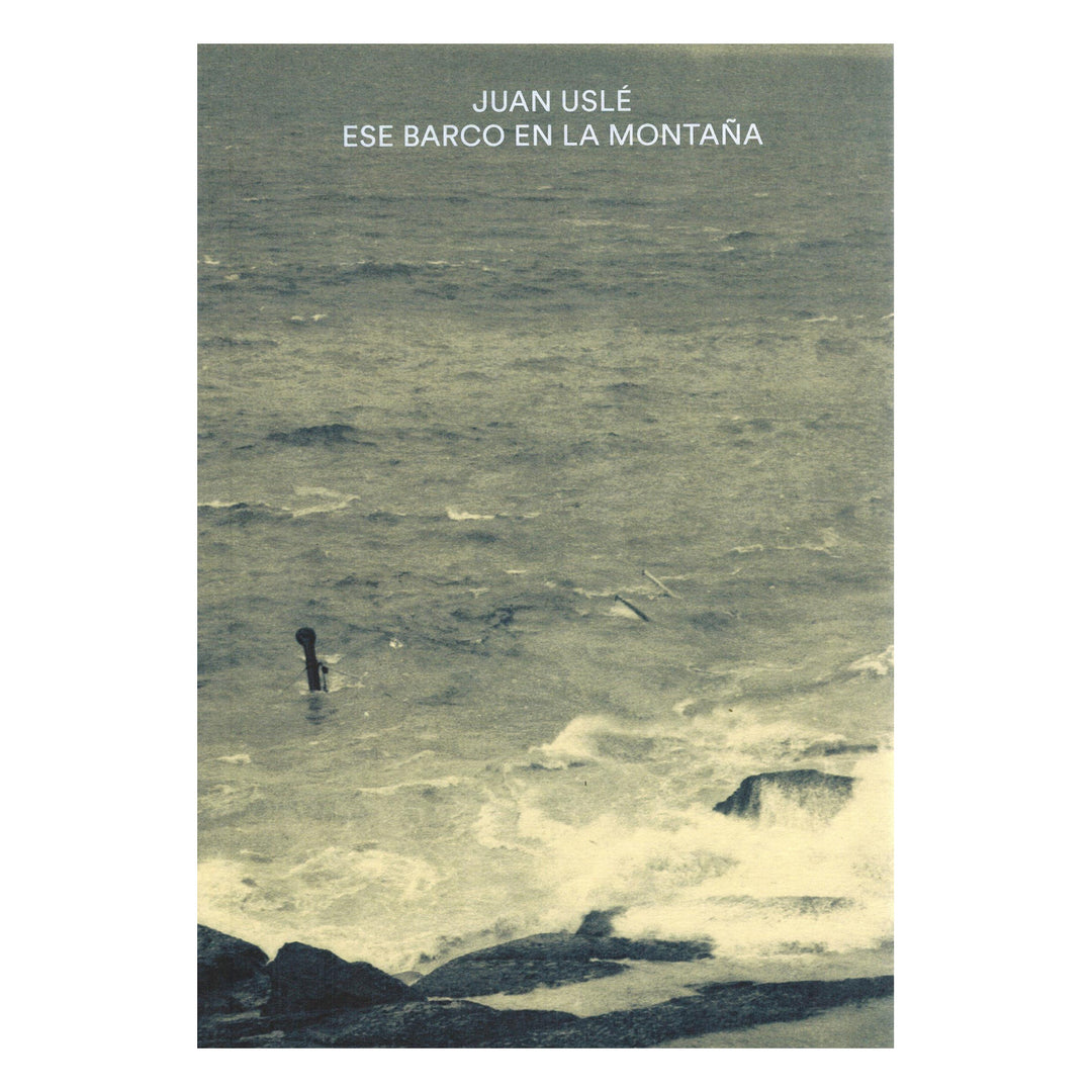 "Juan Uslé. Ese barco en la montaña". Catálogo de exposición