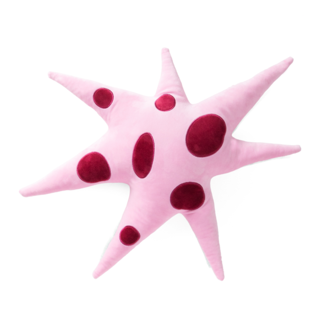 Star Cushion