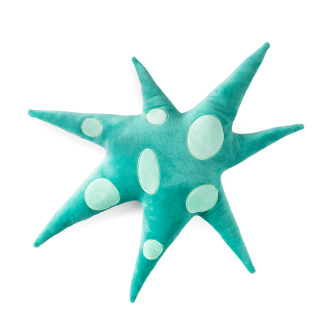 Star Cushion